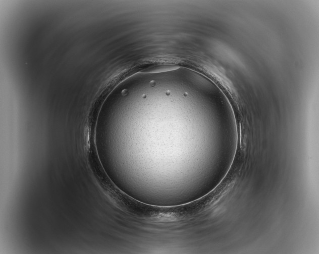 X0000095880157200801181212