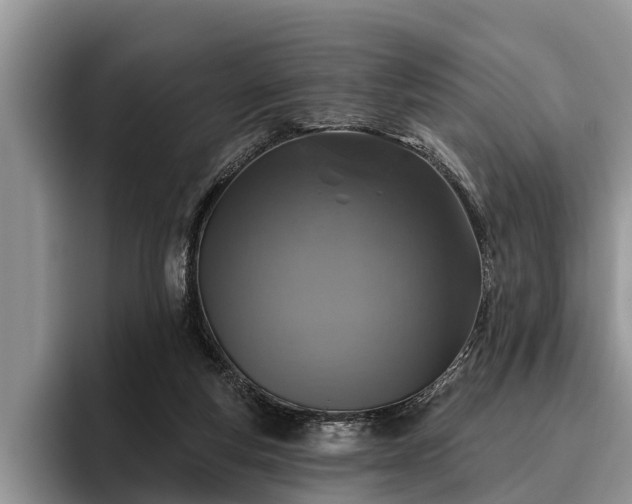 X0000095880163200801181213