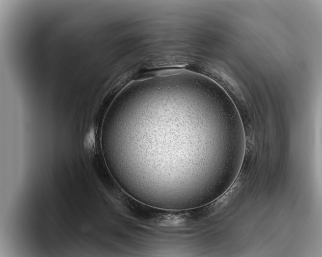 X0000095880166200801181213