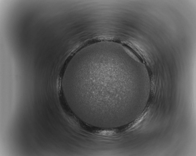 X0000095880168200801181213