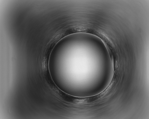 X0000095880170200801181213