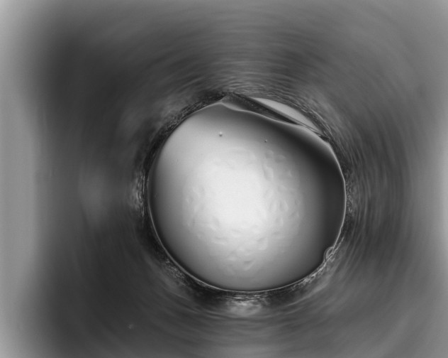 X0000095880175200801181213
