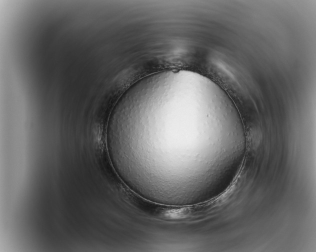 X0000095880178200801181213