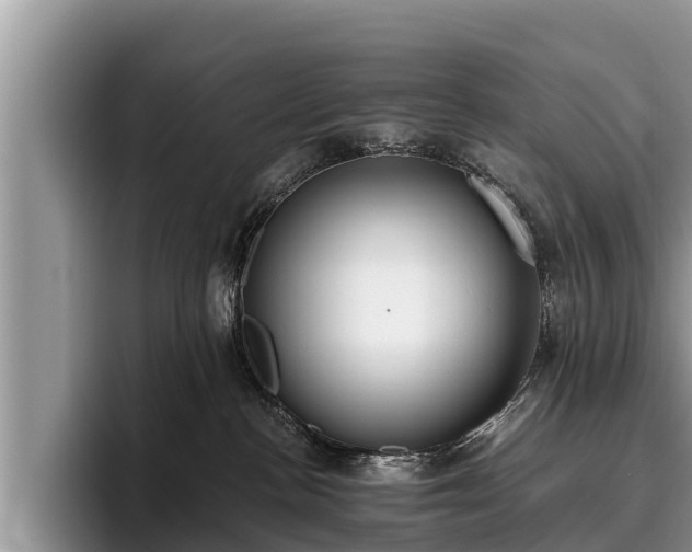 X0000095880188200801181213