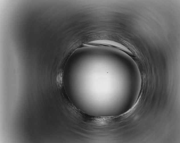 X0000095880190200801181213