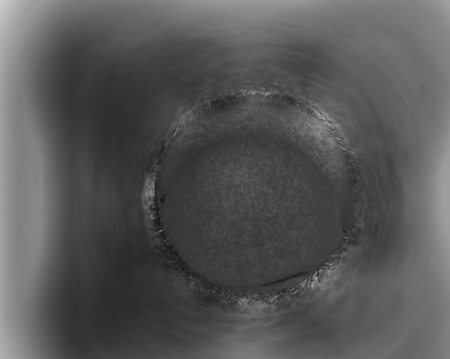 X0000095880192200801181213