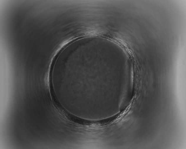 X0000095880196200801181212