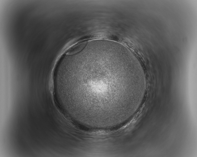 X0000095880198200801181212