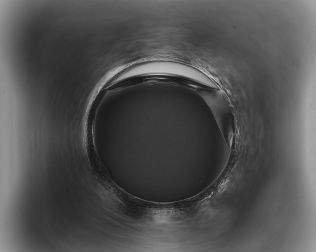 X0000095880200200801181212