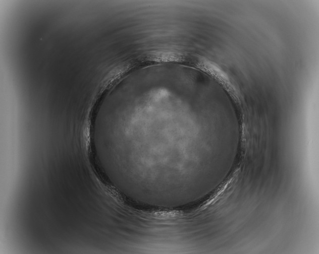 X0000095880202200801181212