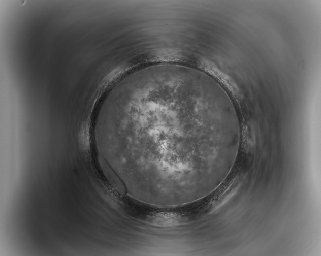 X0000095880203200801181212