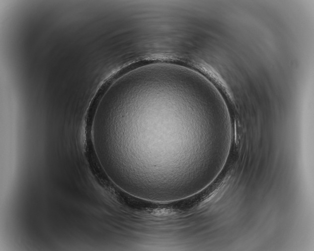 X0000095880204200801181212