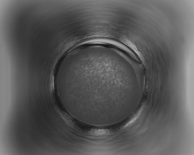 X0000095880205200801181212