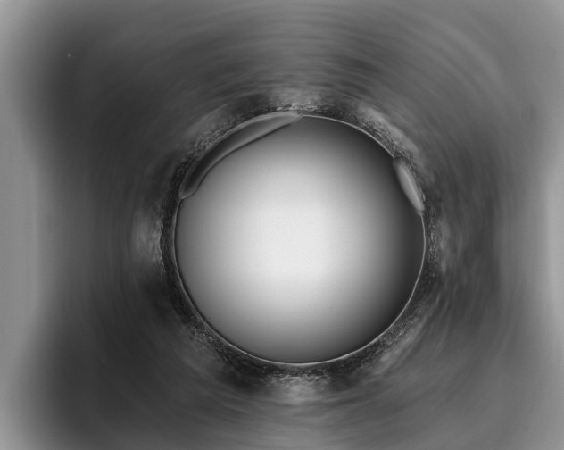 X0000095880209200801181212