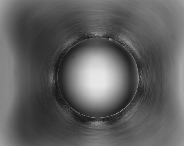 X0000095880212200801181212