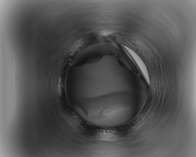 X0000095880223200801181212