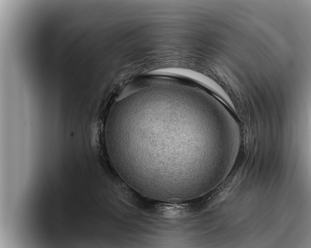 X0000095880229200801181212