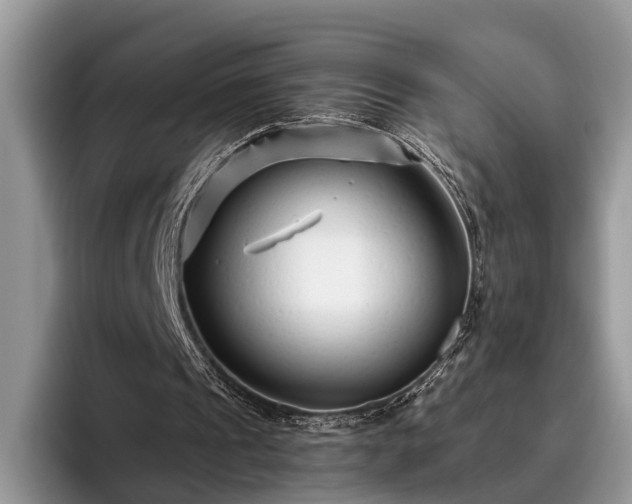 X0000095880241200801181211