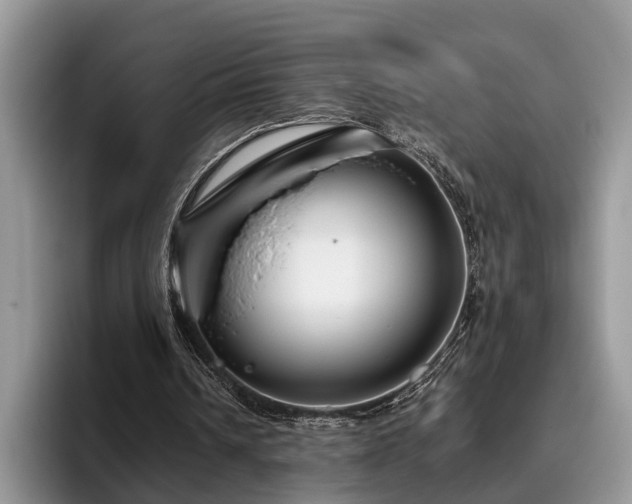 X0000095880242200801181211
