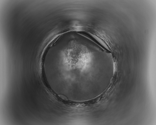 X0000095880243200801181211
