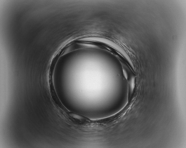 X0000095880244200801181211
