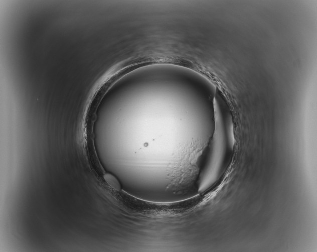 X0000095880246200801181211