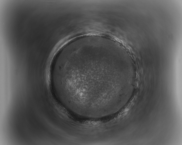 X0000095880247200801181211