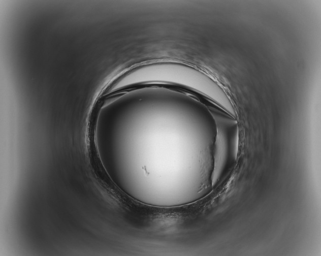 X0000095880248200801181211