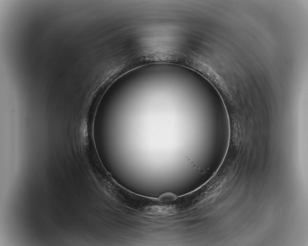 X0000095880251200801181211