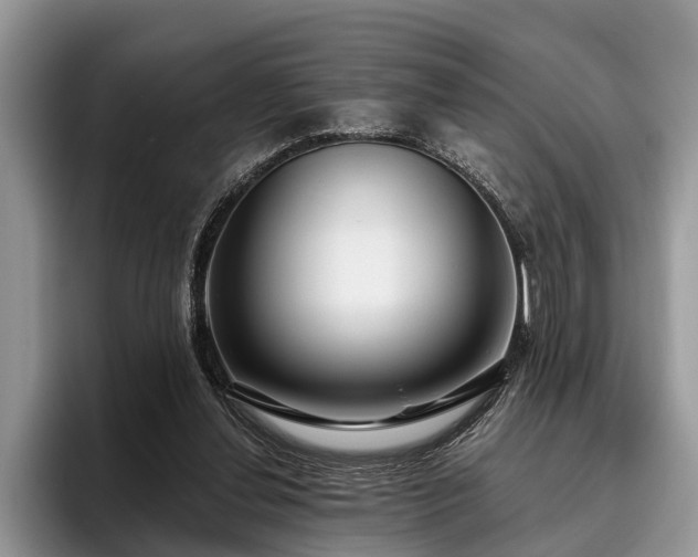 X0000095880252200801181211