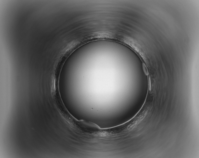 X0000095880253200801181211
