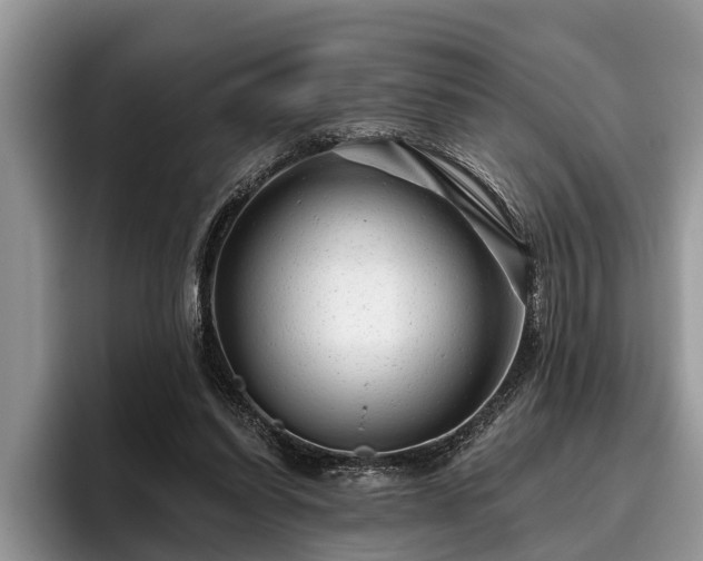 X0000095880254200801181211