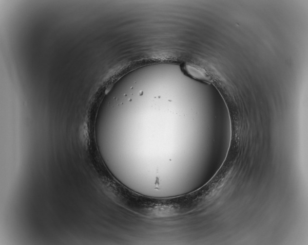 X0000095880256200801181211