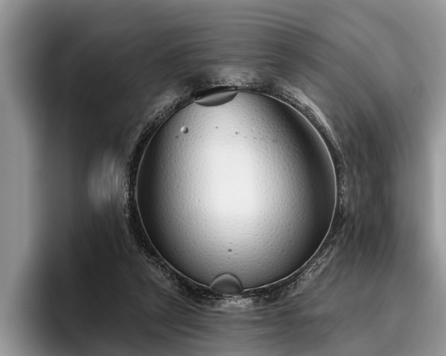 X0000095880257200801181211