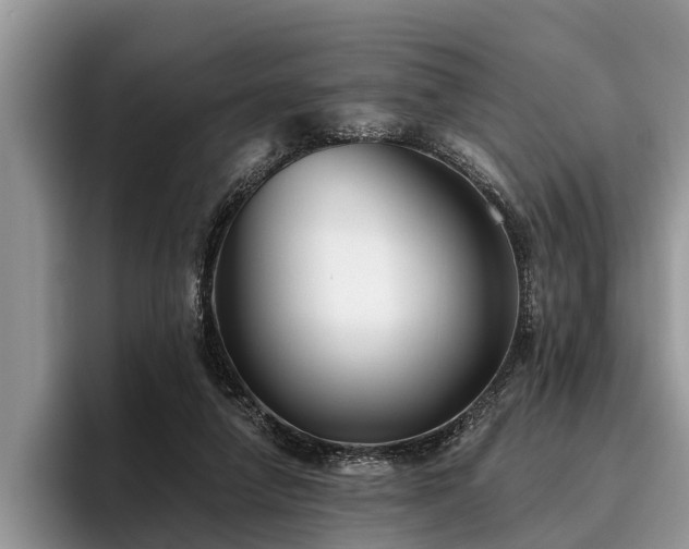 X0000095880258200801181211