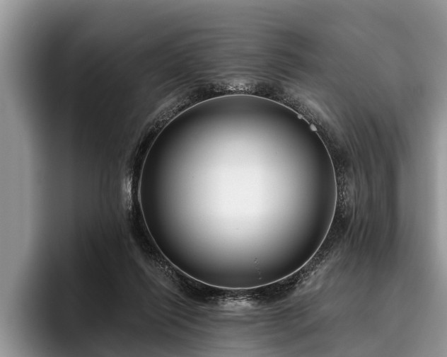 X0000095880262200801181211