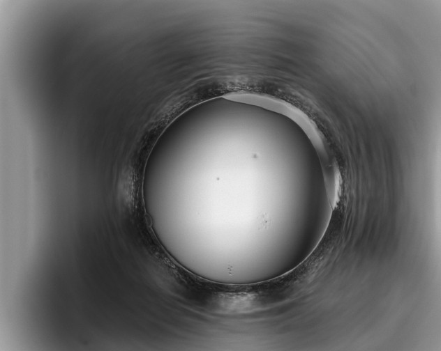 X0000095880266200801181211