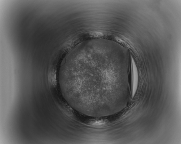 X0000095880267200801181211
