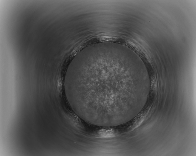 X0000095880271200801181211