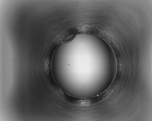 X0000095880275200801181211