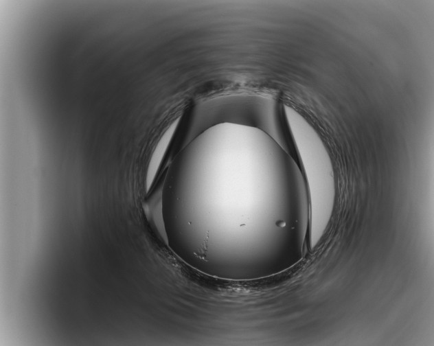 X0000095880276200801181211