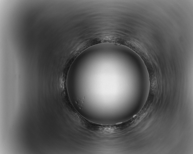 X0000095880282200801181212