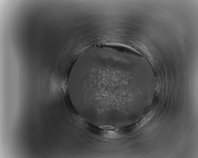 X0000095880285200801181212