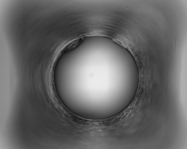 X0000095880289200801181211