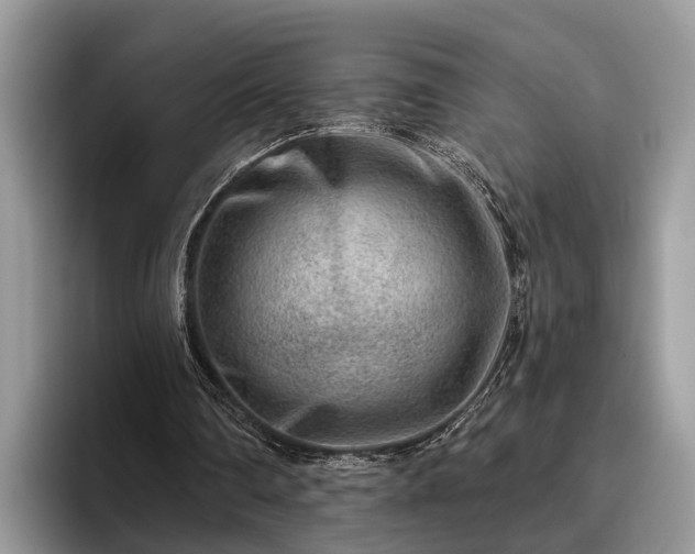 X0000095880290200801181211