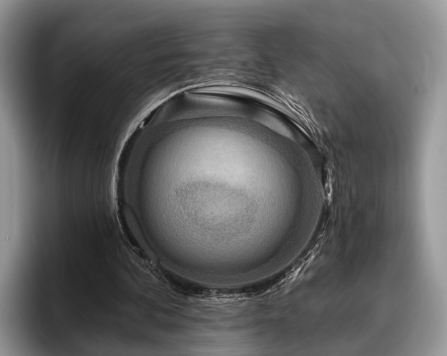 X0000095880292200801181211