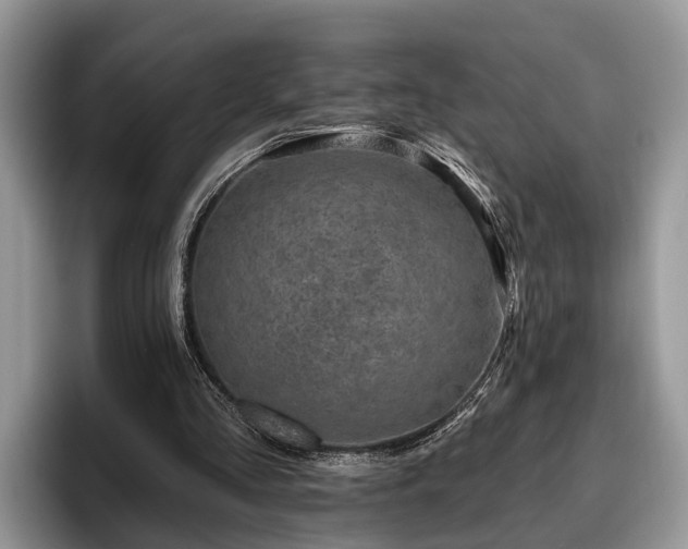 X0000095880293200801181211