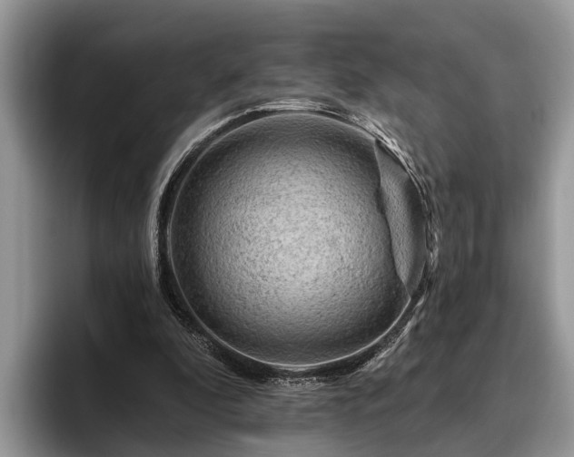 X0000095880296200801181211