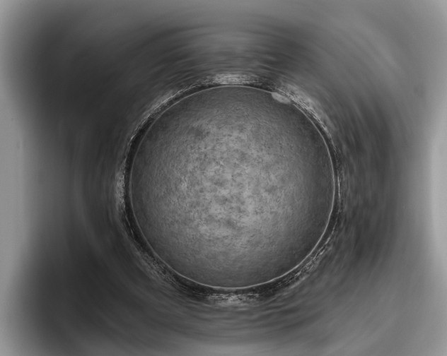 X0000095880297200801181211