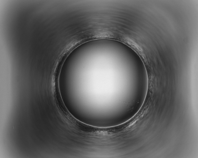 X0000095880298200801181211